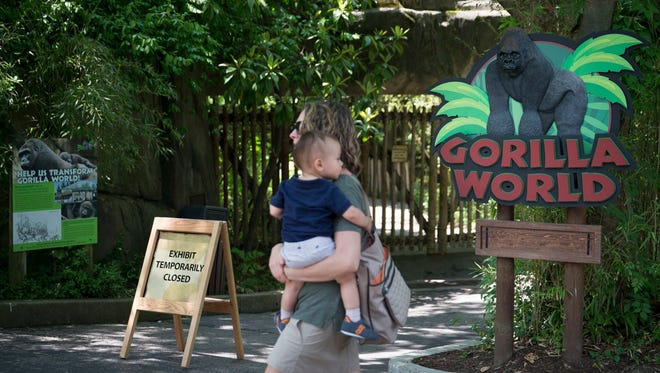 A visitor with a small child passes outside the shuttered Gorilla World exhibit at the Cincinnati Zoo & Botanical Garden, Sunday, May 29, 2016, in Cincinnati. On Saturday, a special zoo response team shot and killed Harambe, a 17-year-old gorilla, that grabbed and dragged a 4-year-old boy who fell into the gorilla exhibit moat. Authorities said the boy is expected to recover. He was taken to Cincinnati Children's Hospital Medical Center.