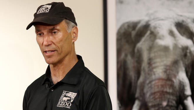Thane Maynard, director of the Cincinnati Zoo & Botanical Garden, speaks with the media  Monday about Harambe, the gorilla shot and killed Saturday after a 3-year-old boy fell into a shallow moat surrounding the Cincinnati Zoo's gorilla exhibit.