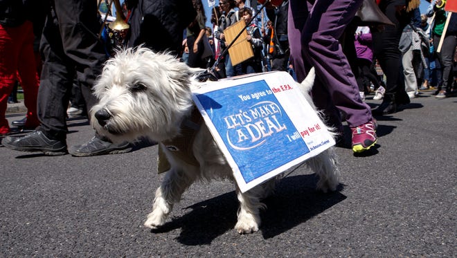 A dog carries a sign during the World Climate March in Geneva, Switzerland.