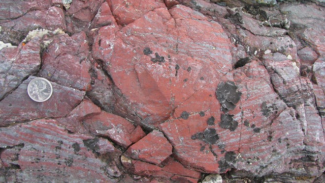 According to the researchers who discovered them, the bacteria lived near hydrothermal vents, cracks in the seafloor that gush hot, mineral-laden water into the open ocean. Verification of the finding could make ocean vents elsewhere in the solar system a key target in the search for extraterrestrial life. 
Here, Layer-deflecting bright red concretion of haematitic chert (an iron-rich and silica-rich rock), which contains tubular and filamentous microfossils. This so-called jasper is in contact with a dark green volcanic rock in the top right and represents hydrothermal vent precipitates on the seafloor. Nuvvuagittuq Supracrustal Belt, Quebec, Canada.