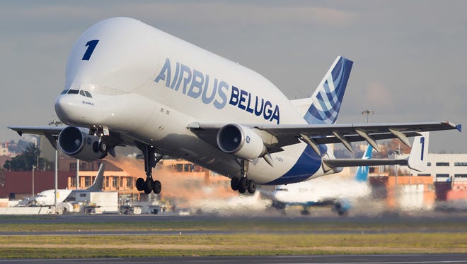 An Airbus Beluga special cargo jet, based on a highly modified A300, takes off from Toulouse-Blagnac International Airport in southern France on Nov. 24, 2016.