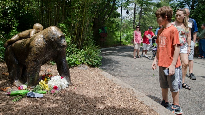 Visitors pass a gorilla statue where flowers have been placed outside the Gorilla World exhibit at the Cincinnati Zoo & Botanical Garden, Sunday, May 29, 2016, in Cincinnati. On Saturday, a special zoo response team shot and killed Harambe, a 17-year-old gorilla, that grabbed and dragged a 4-year-old boy who fell into the gorilla exhibit moat. Authorities said the boy is expected to recover. He was taken to Cincinnati Children's Hospital Medical Center. (AP Photo/John Minchillo)