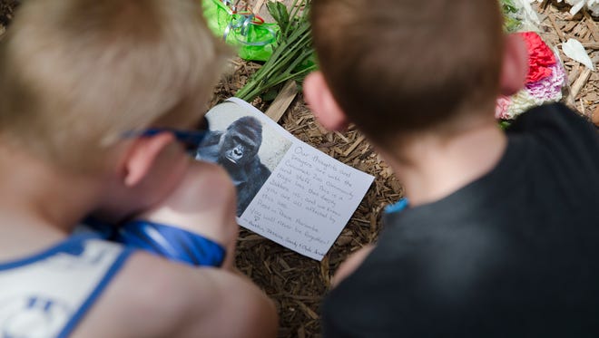 Children read a sympathy card left at the feet of a gorilla statue outside the Gorilla World exhibit at the Cincinnati Zoo & Botanical Garden, Sunday, May 29, 2016, in Cincinnati. On Saturday, a special zoo response team shot and killed Harambe, a 17-year-old gorilla, that grabbed and dragged a 4-year-old boy who fell into the gorilla exhibit moat. Authorities said the boy is expected to recover. He was taken to Cincinnati Children's Hospital Medical Center.