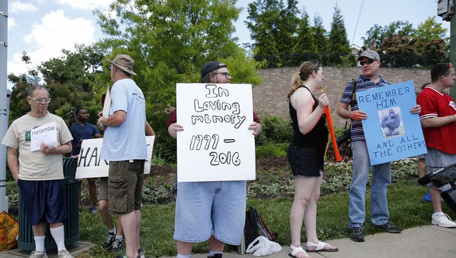 Anthony Seta, center, organized a vigil Monday near the front entrance of the Cincinnati Zoo, to honor the memory of the 17-year-old lowland gorilla, Harambe, who was shot and killed by Cincinnati Zoo personnel after a child fell into the gorilla exhibit Saturday. Photo shot Monday May 30, 2016.