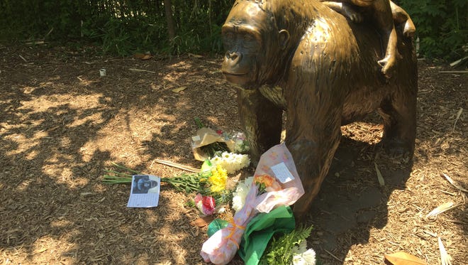 Flowers were laid at the gorilla statue Sunday at the Cincinnati the day after Harambe, 17-year-old western lowland gorilla, was killed to protect a child who had entered the enclosure.