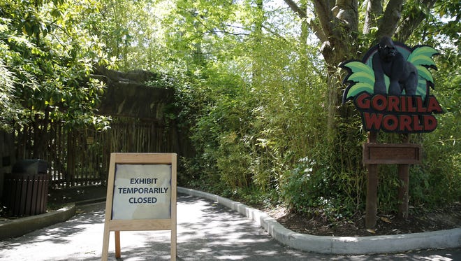 The Gorilla World exhibit remained closed Monday since Harambe, a 17-year-old gorilla, was shot and killed Saturday after a 3-year-old boy fell into a shallow moat surrounding the Cincinnati Zoo's gorilla exhibit.
