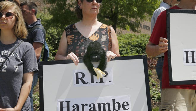 Karen Budkie, of Milford holds a sign in honor of the 17-year-old lowland gorilla, Harambe, who was shot and killed by Cincinnati Zoo personnel after a child fell into the gorilla exhibit Saturday. "I speak out about animals all the time...We need to memorialize them", Budkie said. Photo shot Monday May 30, 2016.