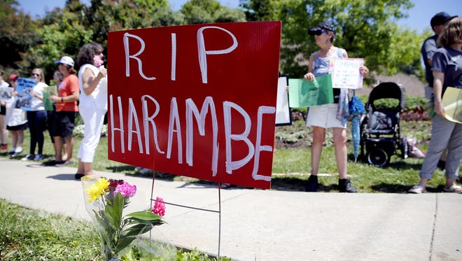 A vigil was held Monday May 30, 2016, near the front entrance of the Cincinnati Zoo, to honor the memory of the 17-year-old lowland gorilla, Harambe, who was shot and killed by Cincinnati Zoo personnel after a child fell into the gorilla exhibit Saturday.